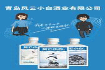 风云小白